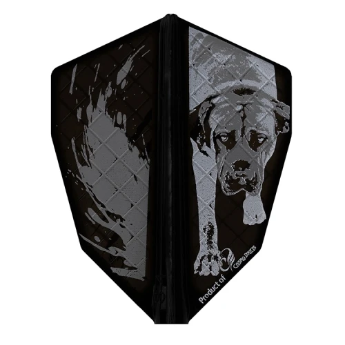 Piórka Cosmo Darts Fit Flight Pro S-4 Łukasz Wacławski