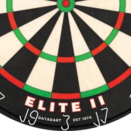 Tarcza sizalowa Datadart Elite 2