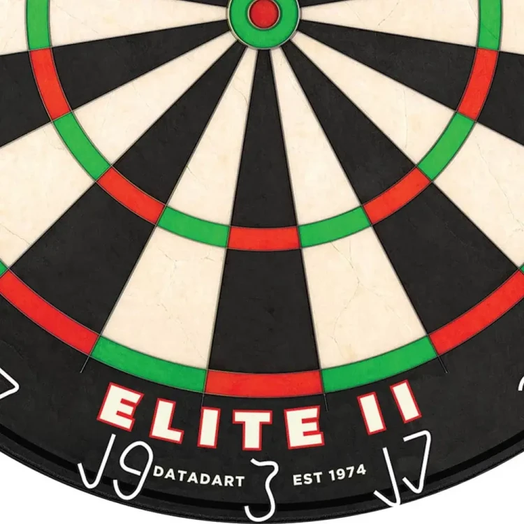 Tarcza sizalowa Datadart Elite 2